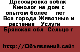 Дрессировка собак (Кинолог на дом с опытом более 10 лет) - Все города Животные и растения » Услуги   . Брянская обл.,Сельцо г.